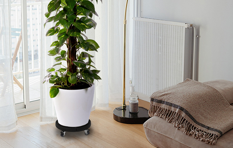 Ingemaakte Serie Winkel 3 Ingemaakte Serie Winkel -Ingemaakte Serie Winkel 2