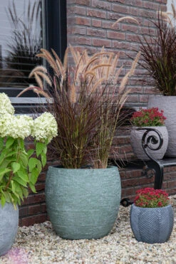 Bloempot Arizona Bullet Cypress Wash - D23 X H20.5cm - Groen -Ingemaakte Serie Winkel arizona bullet cypress wash d23h205 bloempot 7 9