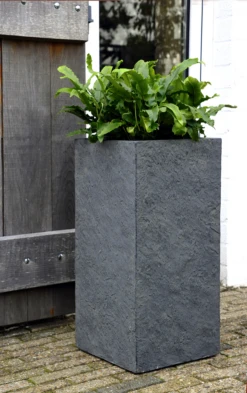 Plantenbak Arizona Cubihi - L22 X B22 X H50cm - Donkergrijs -Ingemaakte Serie Winkel arizona cubihi graphite w22h50 plantenbak 7 4