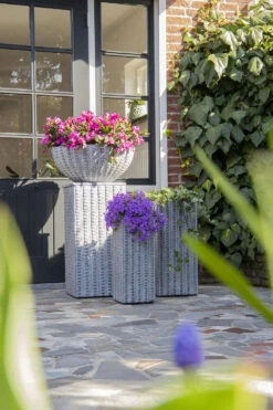 Plantenschaal Arkansas - D55 X H24cm - Lichtgrijs -Ingemaakte Serie Winkel arkansas bowl low washed grey d55h24 bloempot 7 9