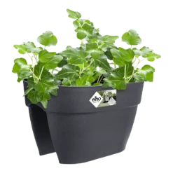 Elho Balkonbak Vibia Campana Bridge 40cm - Antraciet -Ingemaakte Serie Winkel balkonbak vibia campana bridge 40cm antraciet balkonbak antraciet 3 1