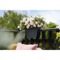 Elho Balkonbak Vibia Campana Bridge 40cm - Antraciet -Ingemaakte Serie Winkel balkonbak vibia campana bridge 40cm antraciet balkonbak antraciet 5 1
