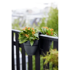 Elho Balkonbak Vibia Campana Twin 21cm - Antraciet -Ingemaakte Serie Winkel balkonbak vibia campana twin 21cm antraciet balkonbak antraciet 5 1