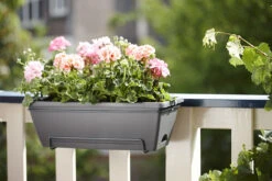 Balkonbak Elho Barcelona Allin 1 50cm - Antraciet -Ingemaakte Serie Winkel barcelona allin1 50cm plantenbak antraciet 7 18