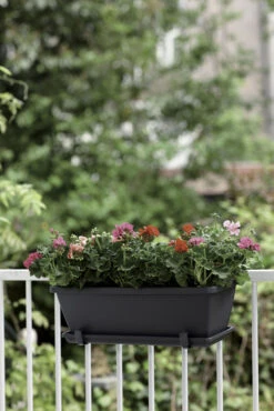 Ingemaakte Serie Winkel -Ingemaakte Serie Winkel barcelona balkonbak 90cm plantenbak antraciet 6 22