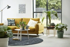 Bloempot Elho B.for Original Rond 30cm - Bladgroen -Ingemaakte Serie Winkel bfor original rond 30cm bloempot bladgroen 7 17