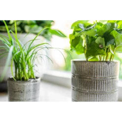 Bloempot Denise - D19 X H19cm - Off White -Ingemaakte Serie Winkel bloempot denise d19 x h19cm off white bloempot 3