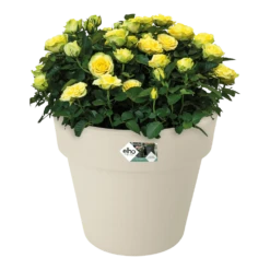 Bloempot Elho Green Basics Top Planter 47cm - Katoen Wit -Ingemaakte Serie Winkel bloempot elho green basics top planter katoen wit bloempot katoen wit 3 1