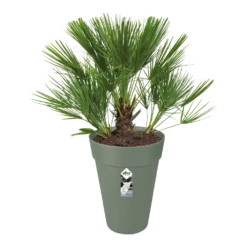 Bloempot Elho Loft Urban Rond Hoog 28cm - Pistache Groen -Ingemaakte Serie Winkel bloempot elho loft urban rond hoog 28cm antraciet bloempot pistache groen 3 1