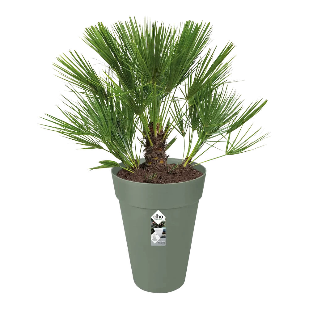 Bloempot Elho Loft Urban Rond Hoog 28cm - Pistache Groen -Ingemaakte Serie Winkel bloempot elho loft urban rond hoog 28cm antraciet bloempot pistache groen 3 1