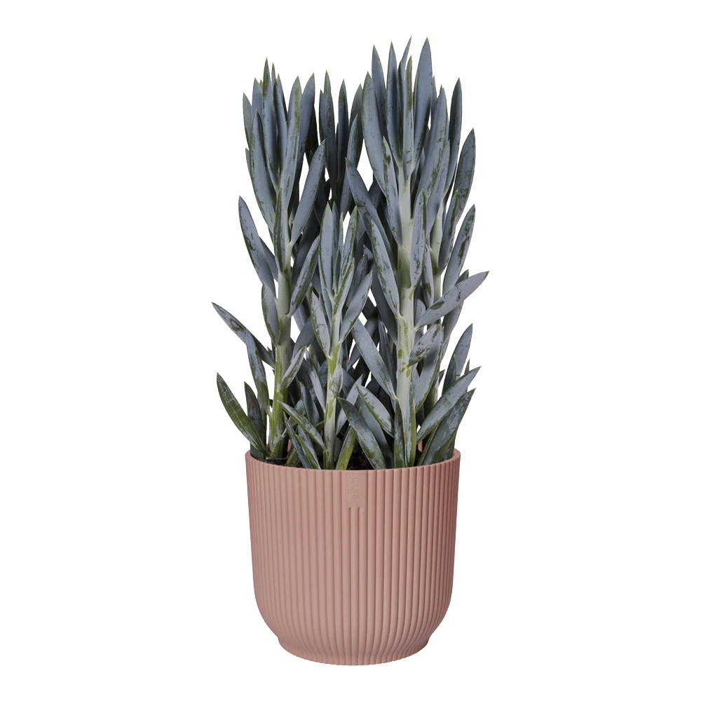 Bloempot Elho Vibes Fold Rond Wielen - D35 X H32cm - Delicaat Roze -Ingemaakte Serie Winkel