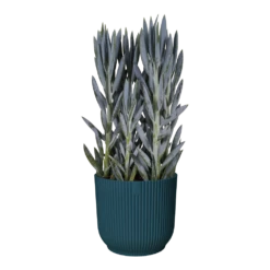 Bloempot Elho Vibes Fold Rond Wielen - D35 X H32cm - Diepblauw -Ingemaakte Serie Winkel bloempot elho vibes fold rond wielen d35 x h32cm diepblauw bloempot 3 3