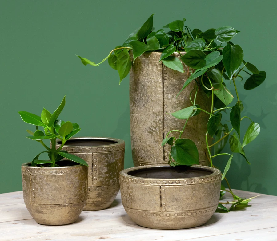 Bloempot Fien - d35 x h32cm - Goud Bloempot Fien - D35 X H32cm - Goud -Ingemaakte Serie Winkel bloempot fien d35 h32 goud bloempot 6 7