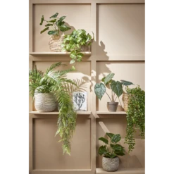 Bloempot Hendrick - D21,5 X H19cm - Creme -Ingemaakte Serie Winkel bloempot hendrick d21 5 x h19cm creme bloempot 3 1