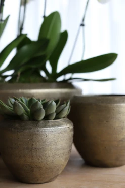 Bloempot Kos - D35 X H32cm - Goud 3 Bloempot Kos - D35 X H32cm - Goud -Ingemaakte Serie Winkel bloempot kos goud bloempot 2 1 4