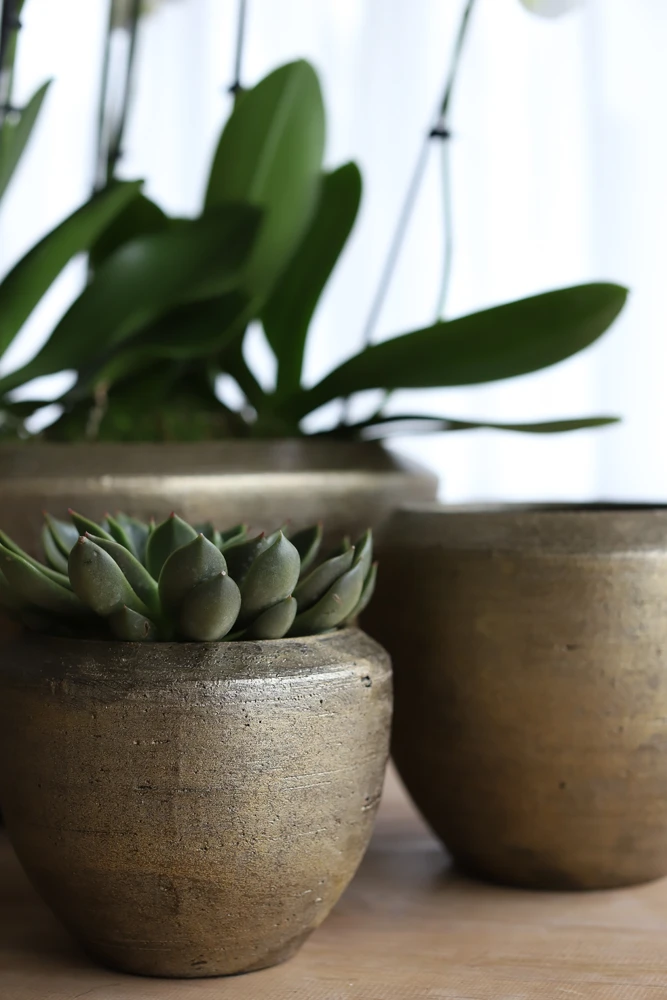 Bloempot Kos - d35 x h32cm - Goud Bloempot Kos - D35 X H32cm - Goud -Ingemaakte Serie Winkel bloempot kos goud bloempot 2 1 4