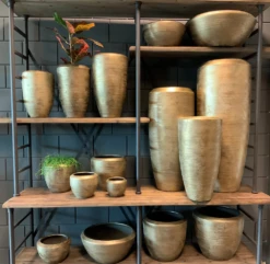 Bloempot Kos - D20 X H18cm - Goud 4 Bloempot Kos - D20 X H18cm - Goud -Ingemaakte Serie Winkel bloempot kos serie goud bloempot 3 1 2