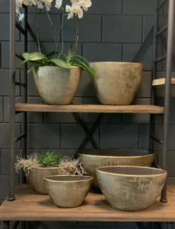 Bloempot Kos Ovaal - L33 X B14 X H27cm - Goud 4 Bloempot Kos Ovaal - L33 X B14 X H27cm - Goud -Ingemaakte Serie Winkel bloempot kos serie ovaal goud bloempot 3 1 6