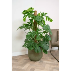 Bloempot Lydia - D36 X H32cm - Shiny Green -Ingemaakte Serie Winkel bloempot lydia shiny green bloempot 2 1 1