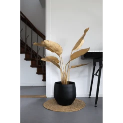 Bloempot Petra - D19 X H16cm - Mat Zwart -Ingemaakte Serie Winkel bloempot petra mat zwart 3