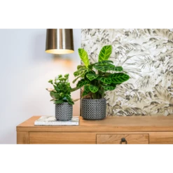 Bloempot Thies - D19 X H17cm - Antraciet -Ingemaakte Serie Winkel bloempot thies antraciet bloempot 2