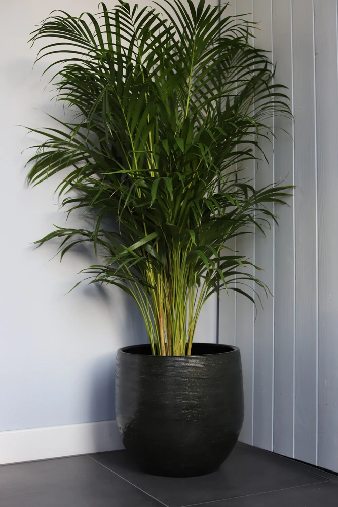 Bloempot Tokio - d28 x h26cm - Groen Bloempot Tokio - D28 X H26cm - Groen -Ingemaakte Serie Winkel bloempot tokio groen bloempot 2 1 2