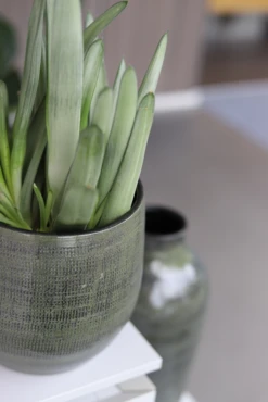 Bloempot Tokio - D20 X H18cm - Groen -Ingemaakte Serie Winkel bloempot tokio klein groen bloempot 2 1