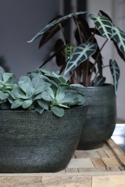 Bloempot Tokio Ovaal - L43 X B15 X H19cm - Groen -Ingemaakte Serie Winkel bloempot tokio ovaal groen bloempot 2 1