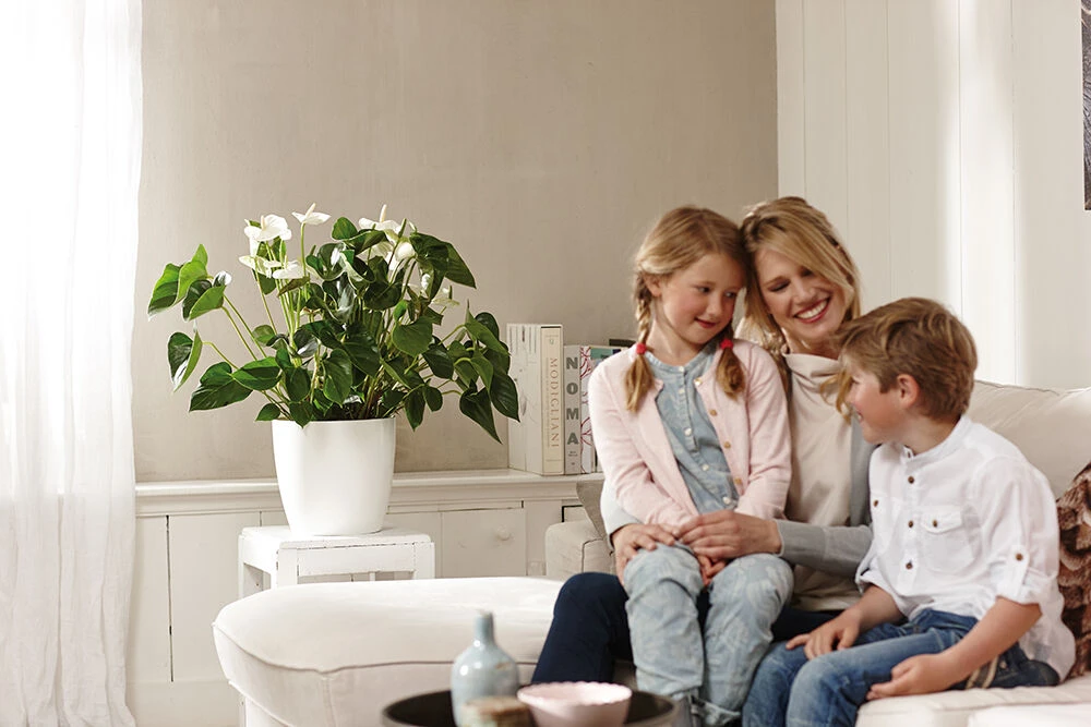 Bloempot Elho Brussels rond 30cm - Wit Bloempot Elho Brussels Rond 30cm - Wit -Ingemaakte Serie Winkel brussels rond 30cm bloempot wit 7 20