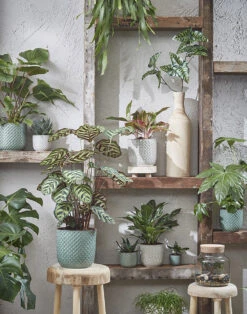 Bloempot Daan - D17 X H16cm - Groen -Ingemaakte Serie Winkel daan pot rond groen h16xd17cm bloempot 7 13