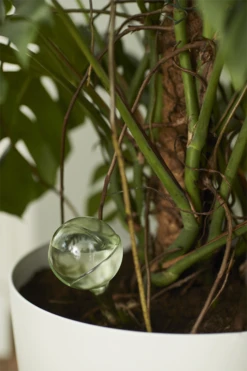 Aqua Care Elho - Transparant -Ingemaakte Serie Winkel elho aqua care transparant water geven 7 2