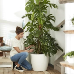 Bloempot Elho Brussels Rond 40cm - Met Wielen - Wit -Ingemaakte Serie Winkel elho brussels rond wielen 40 wit bloempot 7 7