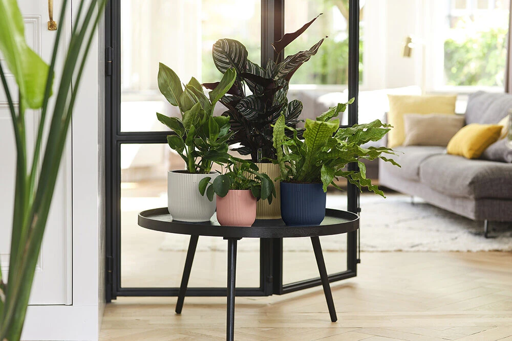 Bloempot Elho Vibes Fold Rond - D22 X H20cm - Diepblauw -Ingemaakte Serie Winkel elho vibes fold rond 22 blauw d22 h20cm bloempot diepblauw 7 19