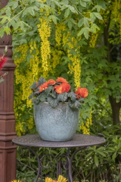 Bloempot Glazed Egg - D30 X H26cm - Groen -Ingemaakte Serie Winkel glazed egg pot moss green d30h26 bloempot groen 7 6