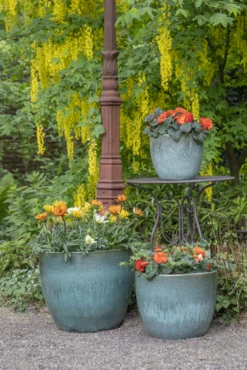 Bloempot Glazed Egg - D38 X H32cm - Groen 4 Bloempot Glazed Egg - D38 X H32cm - Groen -Ingemaakte Serie Winkel glazed egg pot moss green d38h32 bloempot groen 7 6