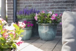 Bloempot Glazed Hp001 - D50 X H39cm - Groen -Ingemaakte Serie Winkel glazed hp001 moss green d50h39 bloempot groen 7 6