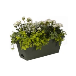 Ingemaakte Serie Winkel -Ingemaakte Serie Winkel green basics balkonbak xl allin1 55cm plantenbak bladgroen 5 14
