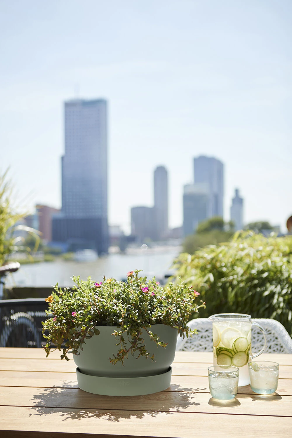 Plantenschaal Elho Greenville 33cm - Bladgroen Plantenschaal Elho Greenville 33cm - Bladgroen -Ingemaakte Serie Winkel greenville schaal 33cm bloempot bladgroen 6 13