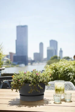 Plantenschaal Elho Greenville 33cm - Living Black -Ingemaakte Serie Winkel greenville schaal 33cm bloempot living black 6 13