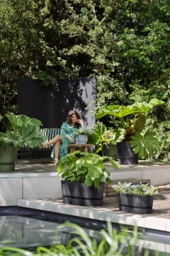 Bloembak Elho Greenville Terrace 60cm - Met Wielen - Living Black -Ingemaakte Serie Winkel greenville terrace trough 60cm wheels plantenbak living black 7 13