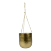 Hangpot Kody - D16 X H18cm - Goud -Ingemaakte Serie Winkel hanger kody gold d16 h18 hangpot 1 4