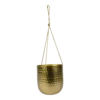 Hangpot Kody - D17 X H20cm - Goud -Ingemaakte Serie Winkel hanger kody gold d17 h20 hangpot 1 4