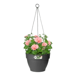 Elho Hangschaal Vibia Campana 26cm - Antraciet -Ingemaakte Serie Winkel hangschaal vibia campana 26cm antraciet hangpot antraciet 3 1
