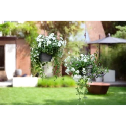 Elho Hangschaal Vibia Campana 26cm - Antraciet -Ingemaakte Serie Winkel hangschaal vibia campana 26cm antraciet hangpot antraciet 4 1