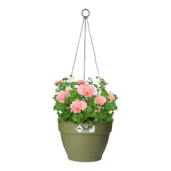 Elho Hangschaal Vibia Campana 26cm - Saliegroen 4 Elho Hangschaal Vibia Campana 26cm - Saliegroen -Ingemaakte Serie Winkel hangschaal vibia campana 26cm saliegroen hangpot saliegroen 3 1