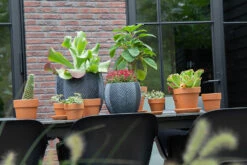 Bloempot Iowa Bullet - D44 X H39cm - Donkergrijs -Ingemaakte Serie Winkel iowa bullet graphite d44h39 bloempot 7 9