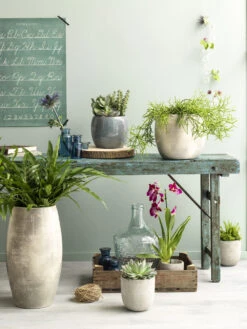 Bloempot Lester - D20 X H18cm - Lichtgrijs 4 Bloempot Lester - D20 X H18cm - Lichtgrijs -Ingemaakte Serie Winkel lester pot rond lgrijs h18xd20cm bloempot 7 12