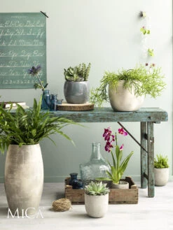 Bloempot Lester Hoog - D39 X H70cm - Lichtgrijs -Ingemaakte Serie Winkel lester vaas rond lgrijs h70xd39cm bloempot 6 12