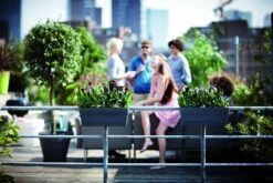 Balkonbak Elho Loft Urban 50cm - Antraciet -Ingemaakte Serie Winkel loft urban balkonbak 50 plantenbak antraciet 6 13