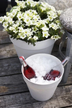 Bloempot Elho Loft Urban Rond 70cm - Antraciet -Ingemaakte Serie Winkel loft urban rond 70 bloempot antraciet 6 15